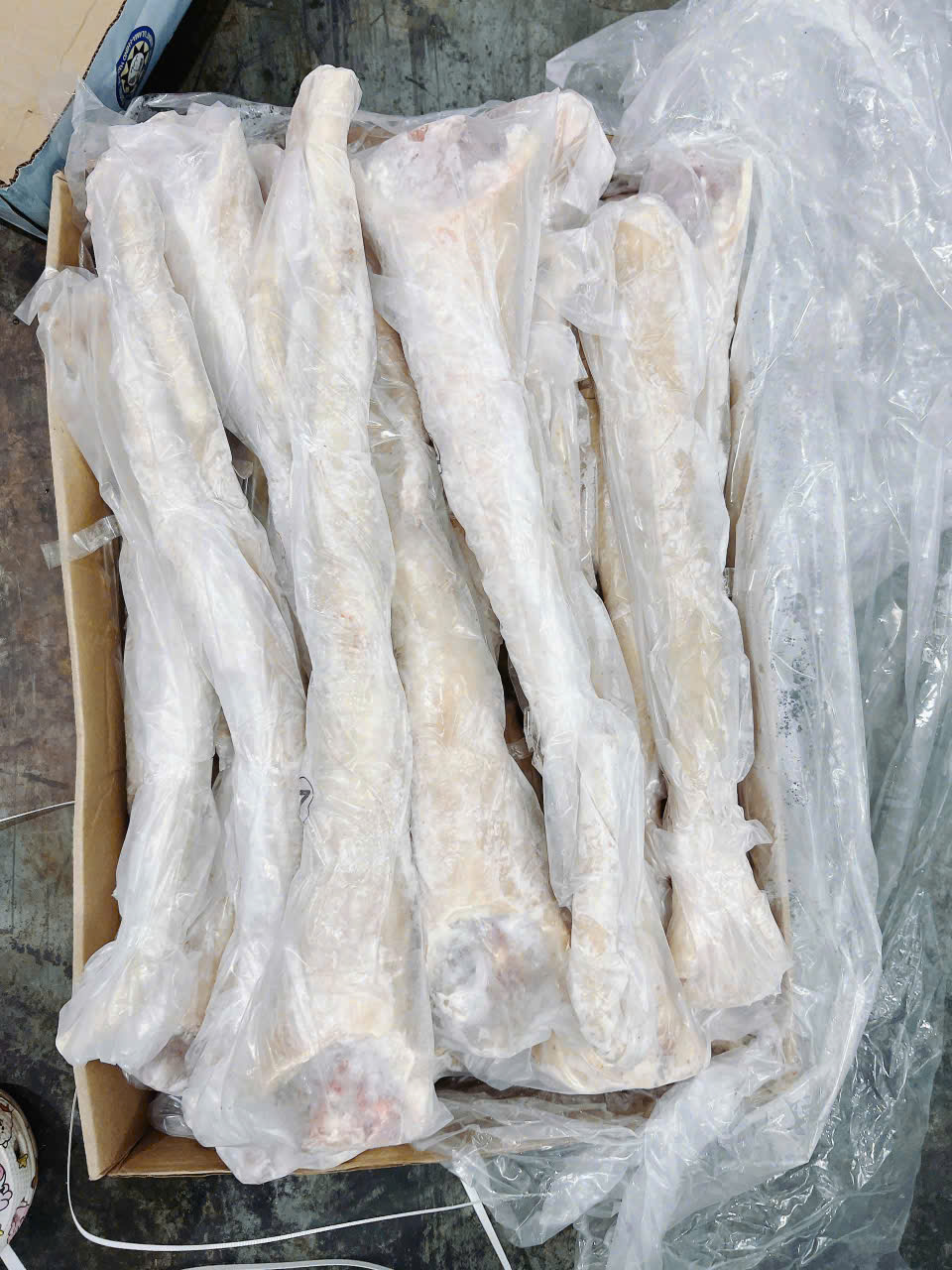 Cung cấp đuôi trâu M57 – Gân mềm, thịt ngọt, sạch và an toàn